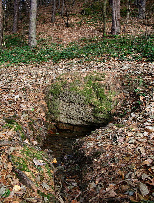 pramen Pod Pohořem (2513)
