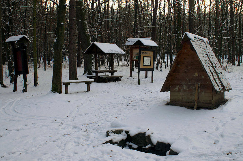 pramen Dobrá voda (2516)