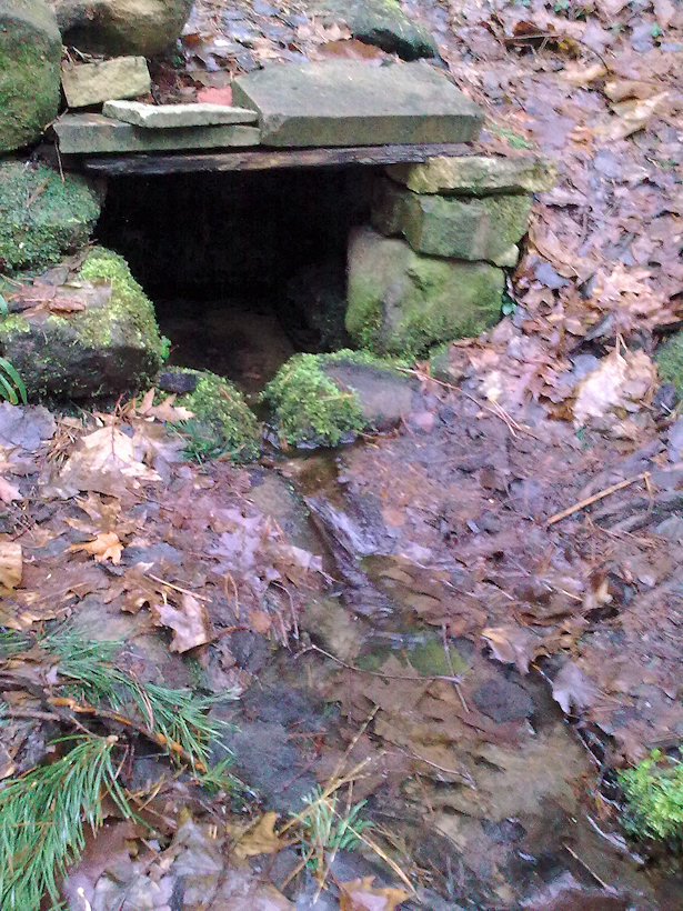 Hraběnčina studánka (2518)
