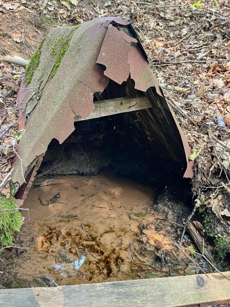 studánka Fenclův pramen (2531)