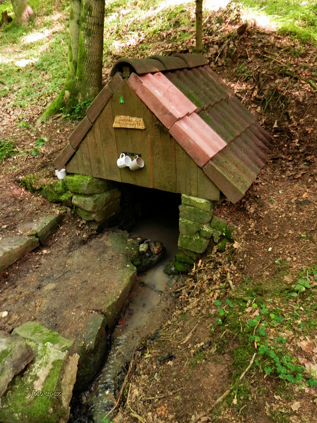 studánka U Kyselé vody (2532)