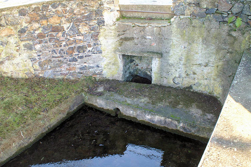 studánka bez jména (2533)
