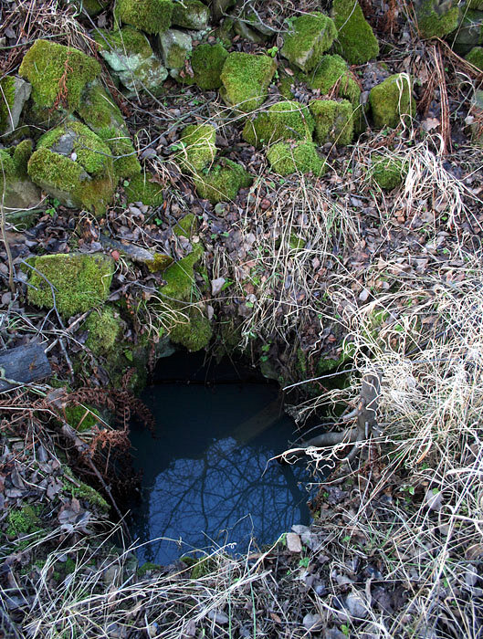 studánka V Hloží (2541)