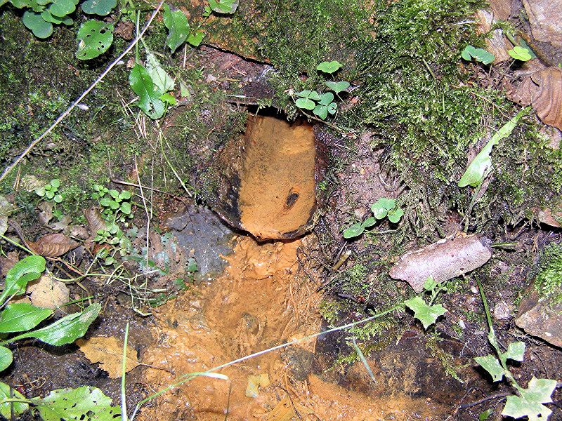 studánka U Partyzána (2547)