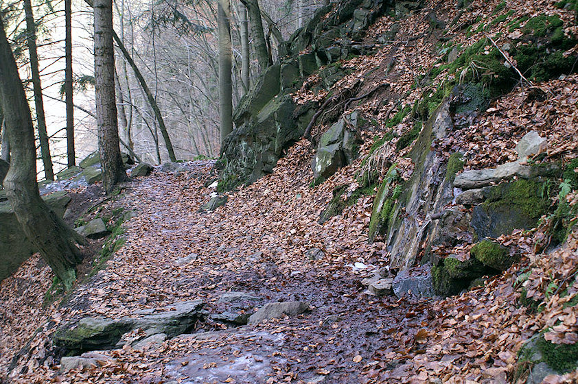 pramen Hvězdiččina studánka (2548)