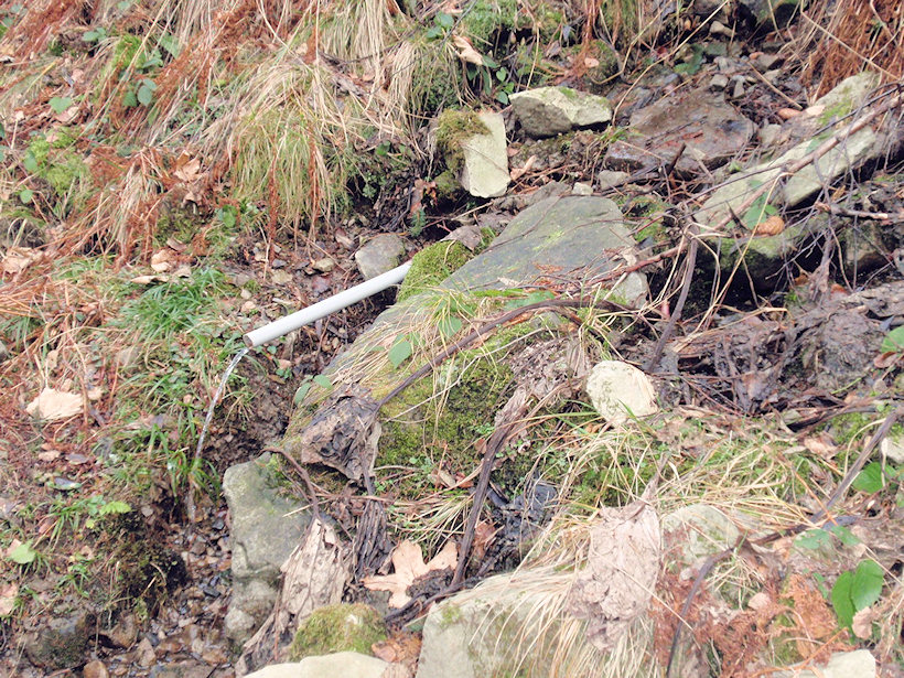 studánka Smrčina (2550)