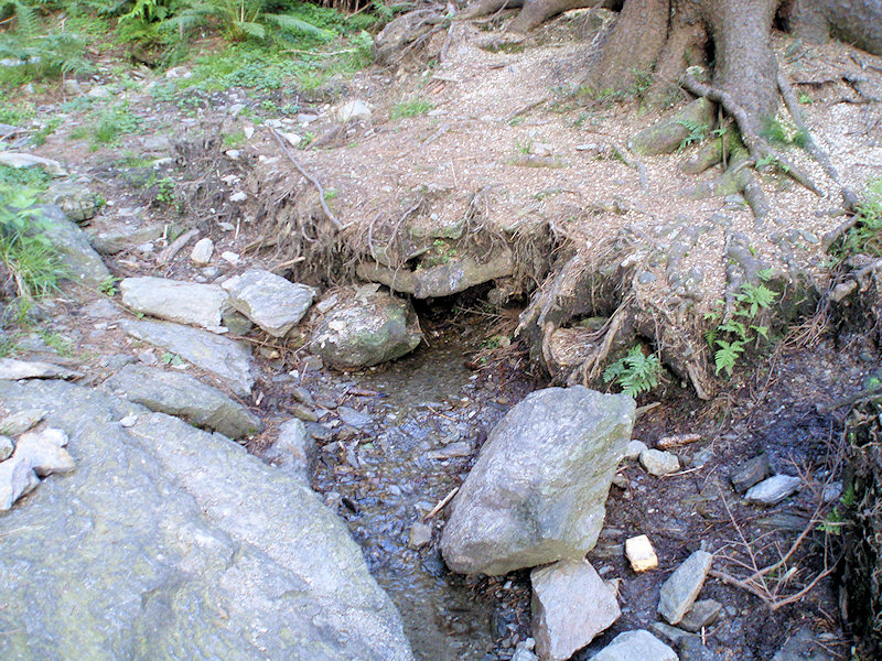 Granátová studánka (2554)