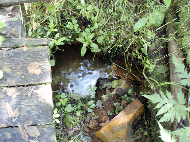 studánka Vlčí pramen 1 (2559)