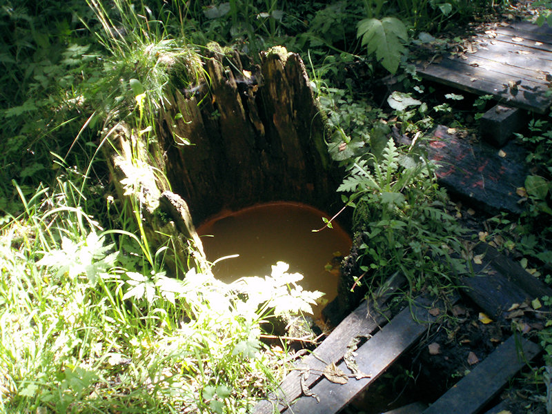 studánka Vlčí pramen 2 (2560)