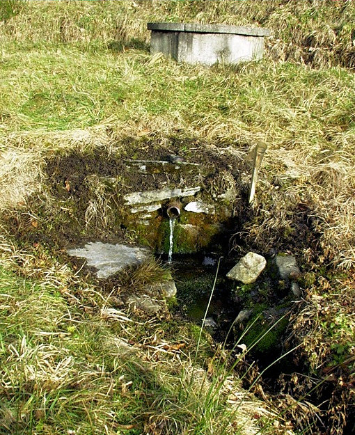 studánka bez jména (2563)
