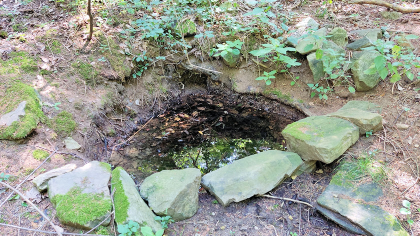 studánka bez jména (2564)