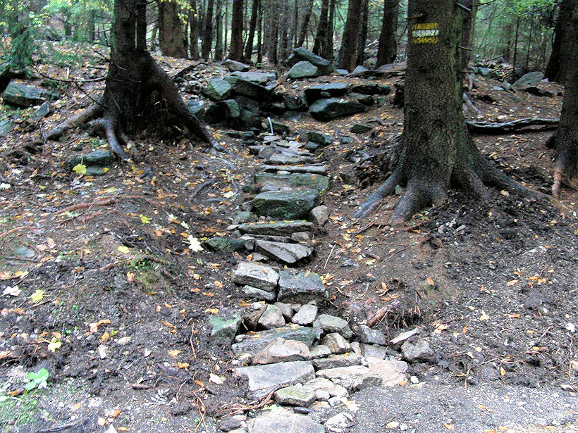 studánka U lesní školky (2578)