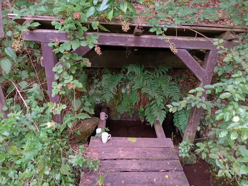 Planodolská studánka (2583)