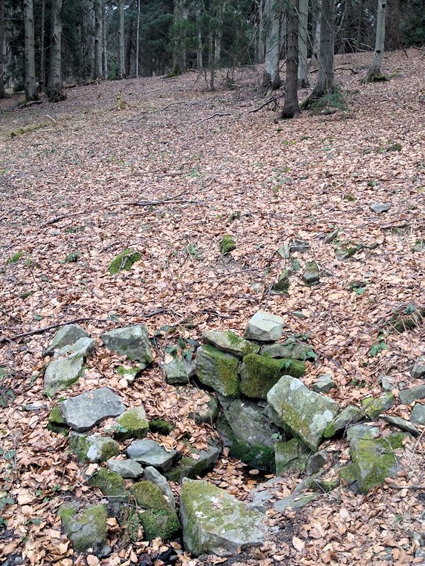 studánka Pod Stolečným vrchem (2603)
