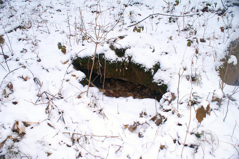 Lesní studánka u Třebichovic (2606)