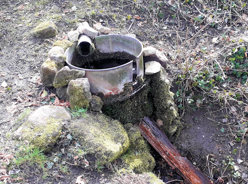 pramen Krásná Studánka (2619)