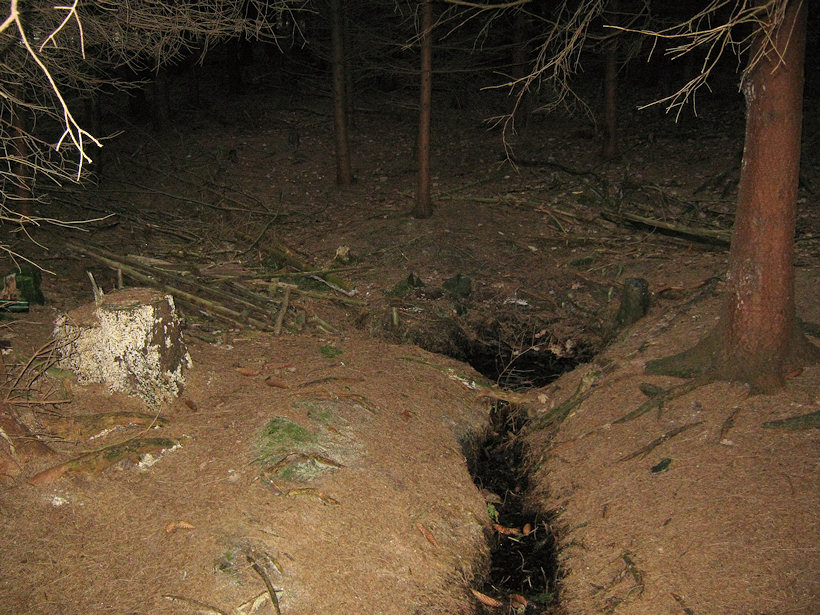 studánka Cikánka (2624)