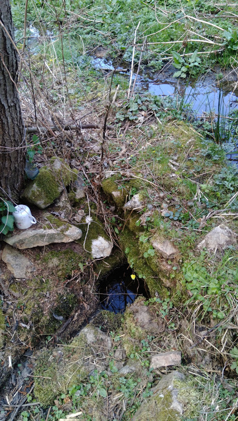 studánka Pod Trafikou (2626)