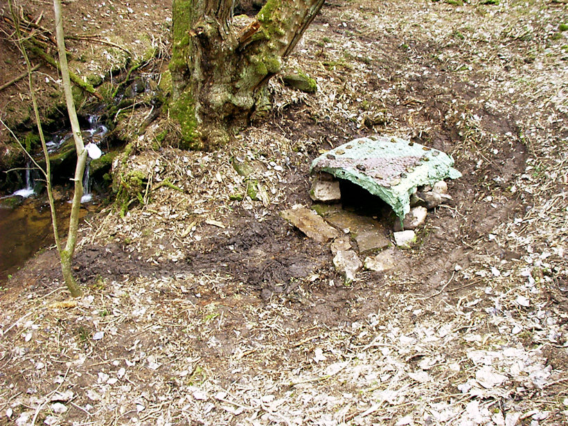Samova studánka (2628)
