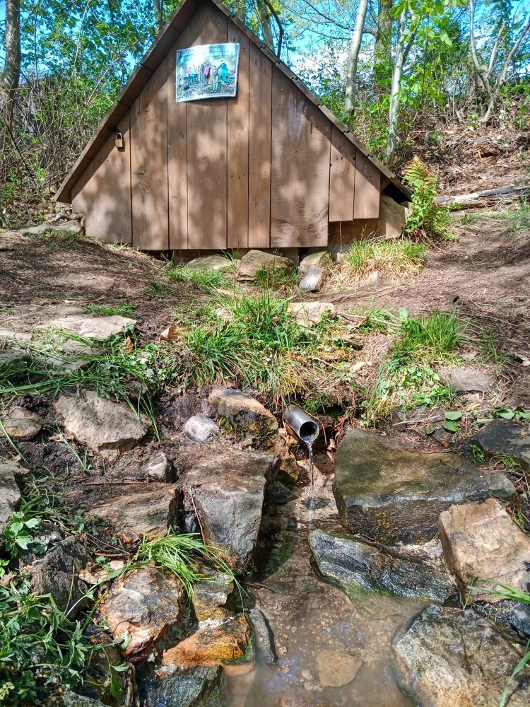 studánka bez jména (2631)