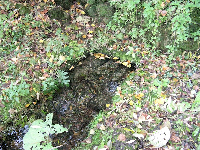 Zrzánova studánka (2638)