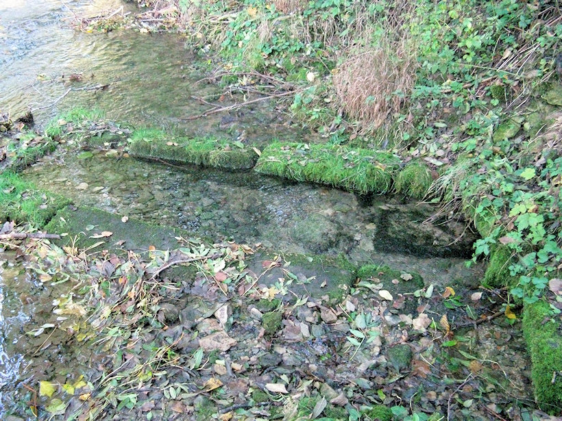 studánka Bublavka (2641)