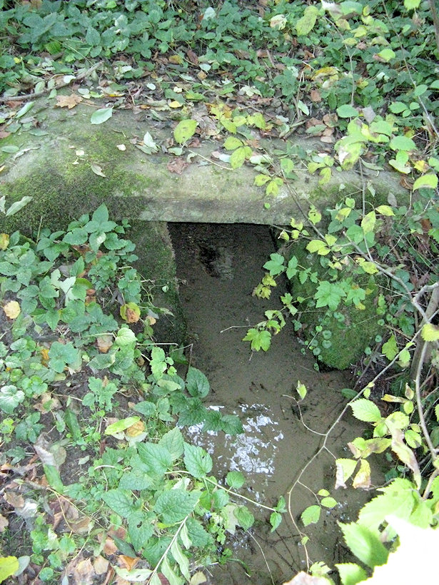 studánka Kociánka (2642)