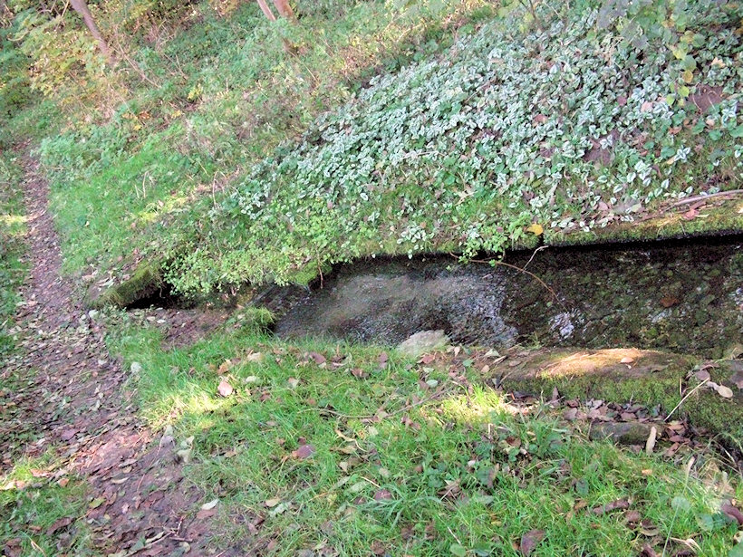 Šilerova studánka (2643)