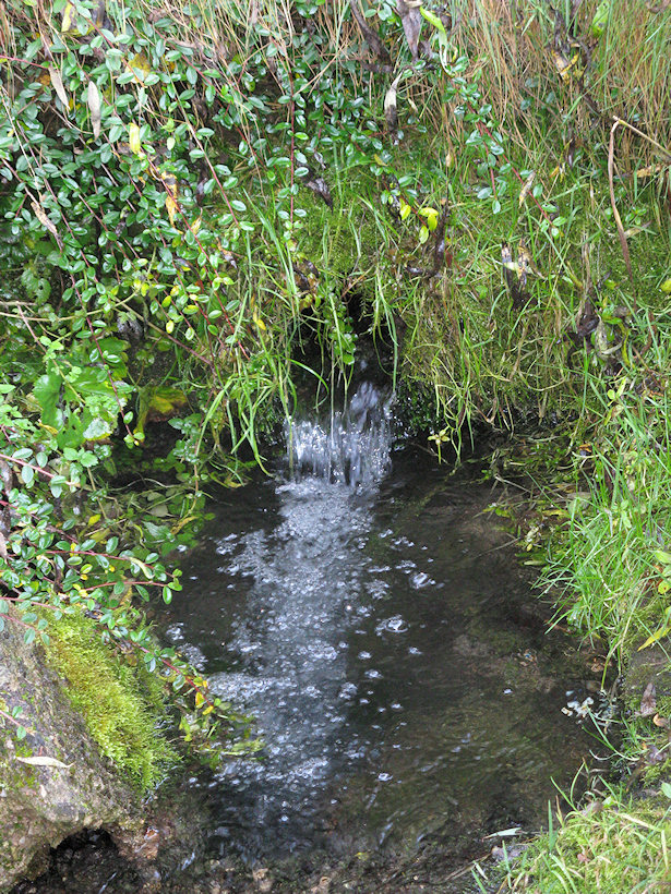 Karlíkova studánka (2646)