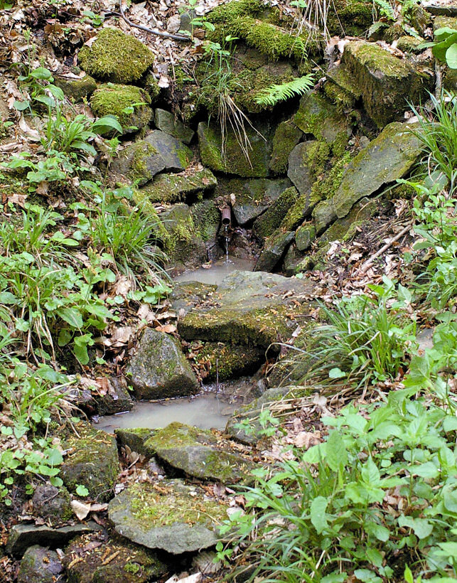 studánka Březovské 1 (2651)