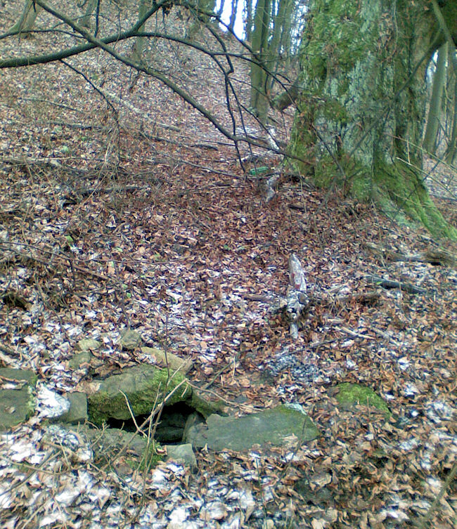 studánka U lípy (2653)