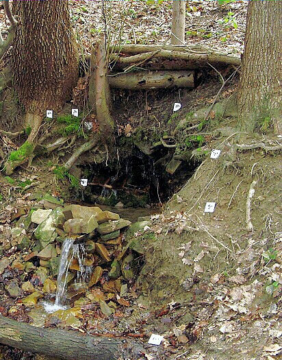 studánka Vlčí pramen (2686)
