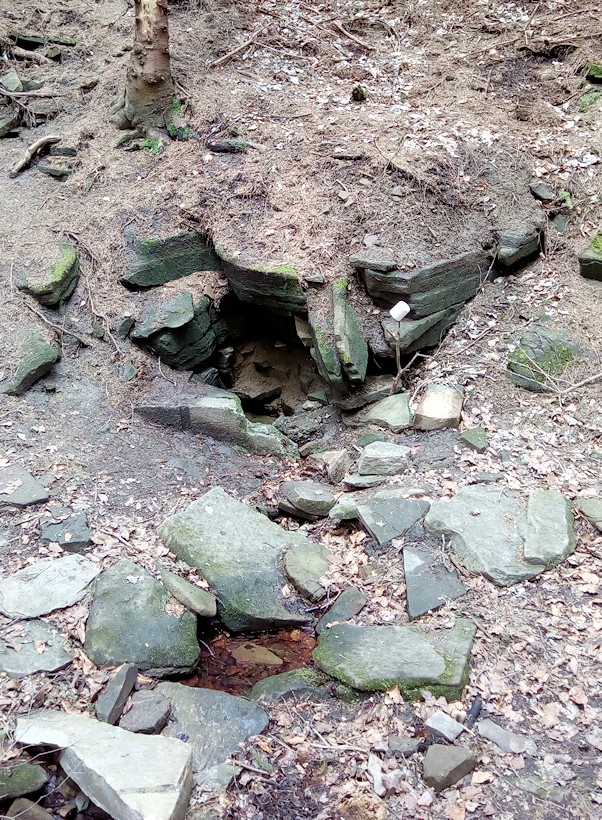 studánka Velký Lopeník (2692)
