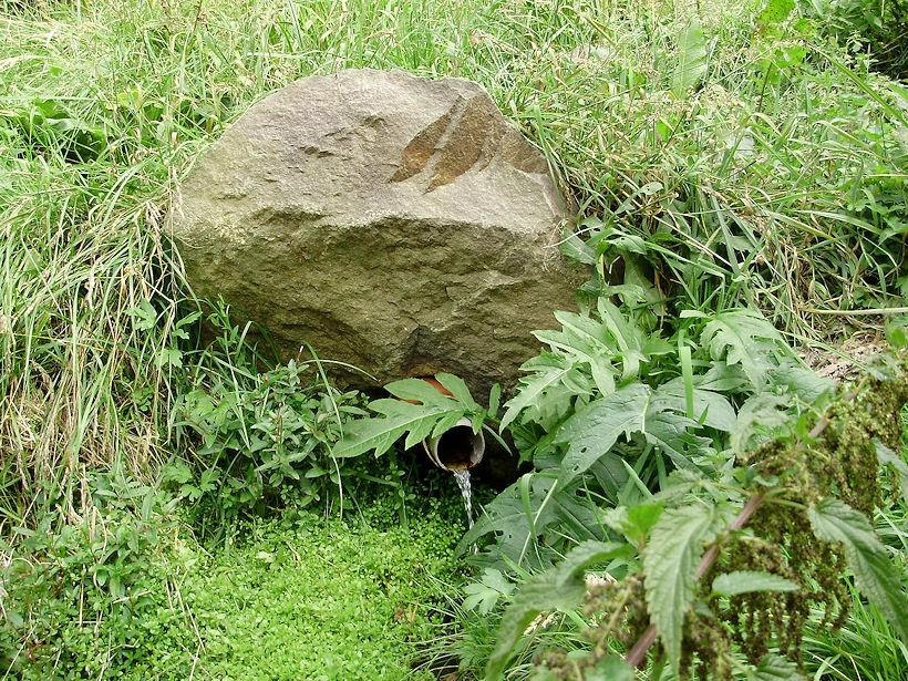 studánka Srnčí (2709)