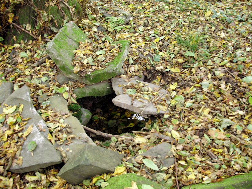 studna Dělnická (2712)
