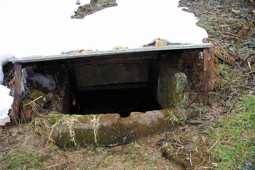 studánka U srubu (2731)