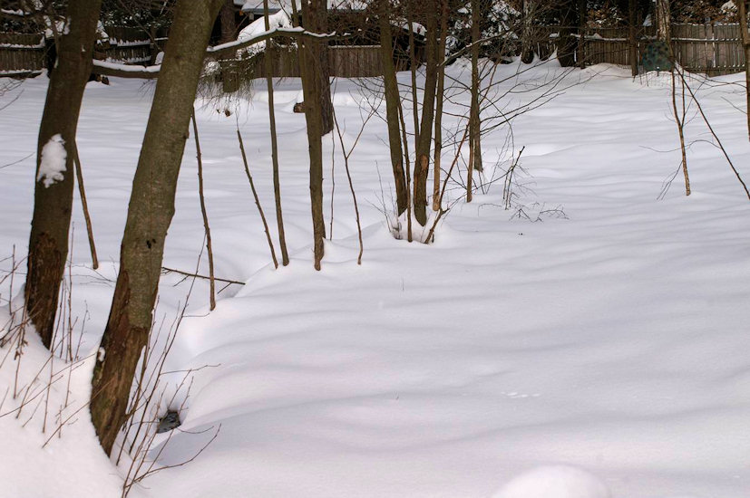 studánka U Kučerů (2732)