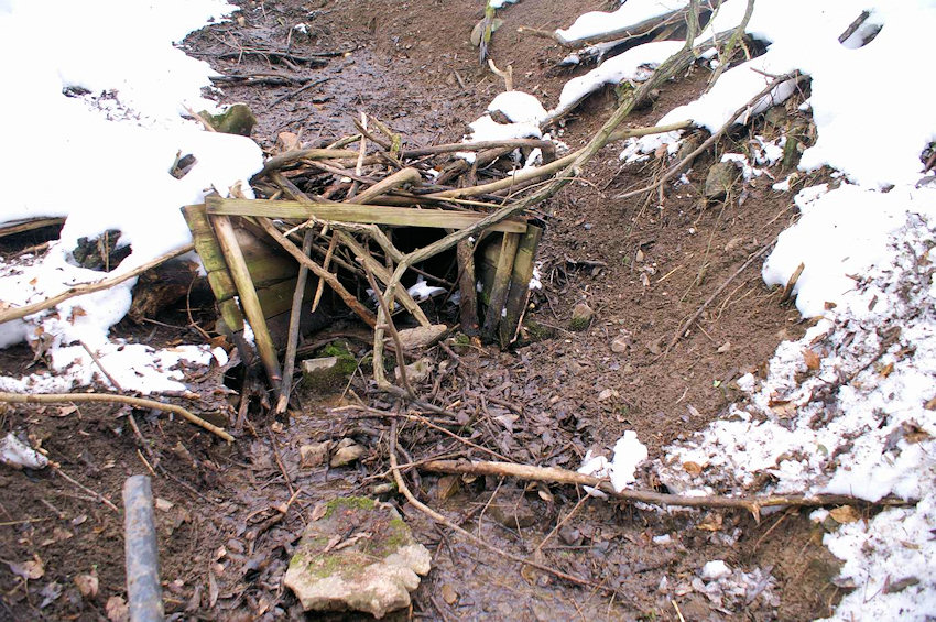 prameniště Nad Lipany (2734)
