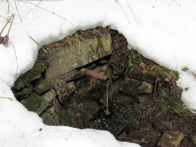 studánka bez jména (2736)
