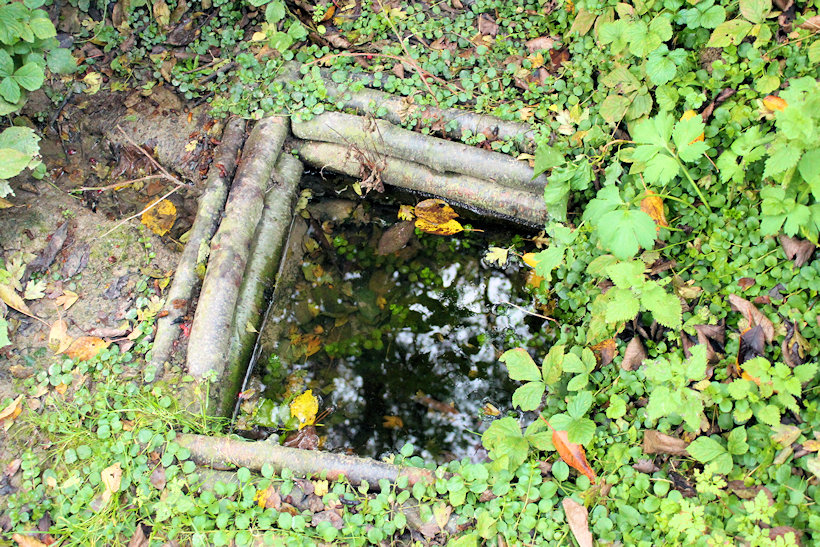 studánka Na Čubernici (2752)