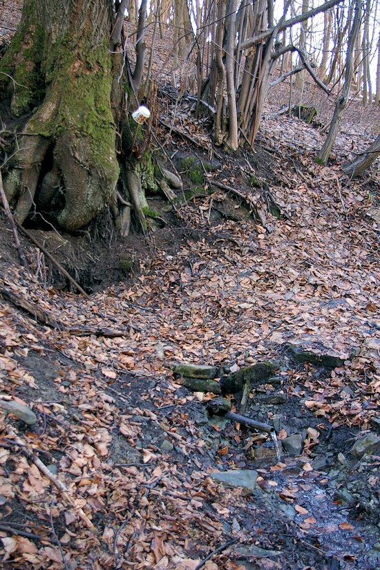 Lysákova studánka (2753)