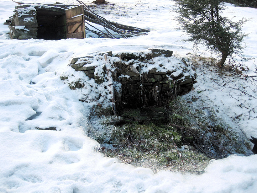 studánka U Ilčíků (2758)
