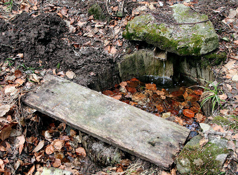 Dřevěná studánka (2766)