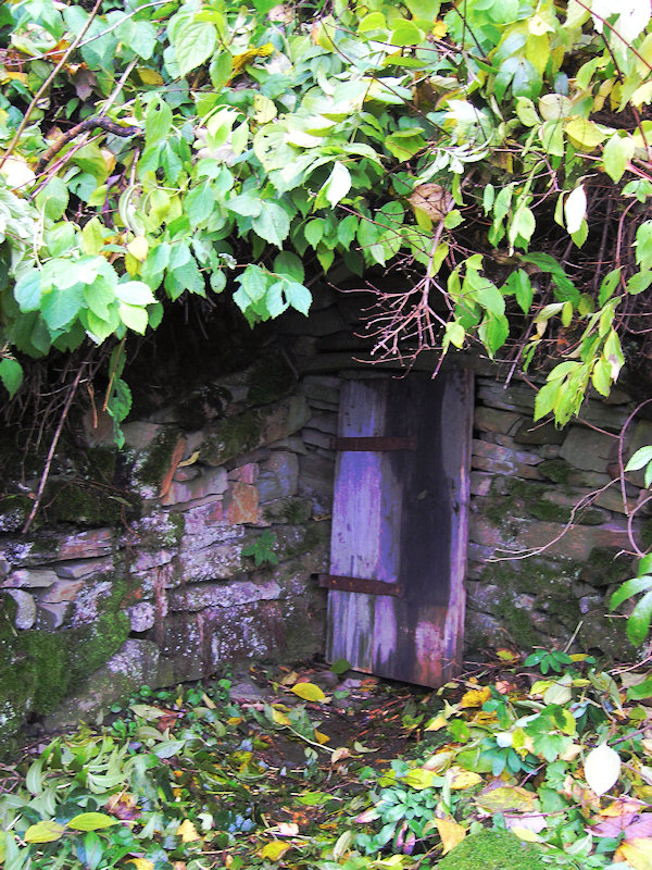 studánka U Micinek (2772)