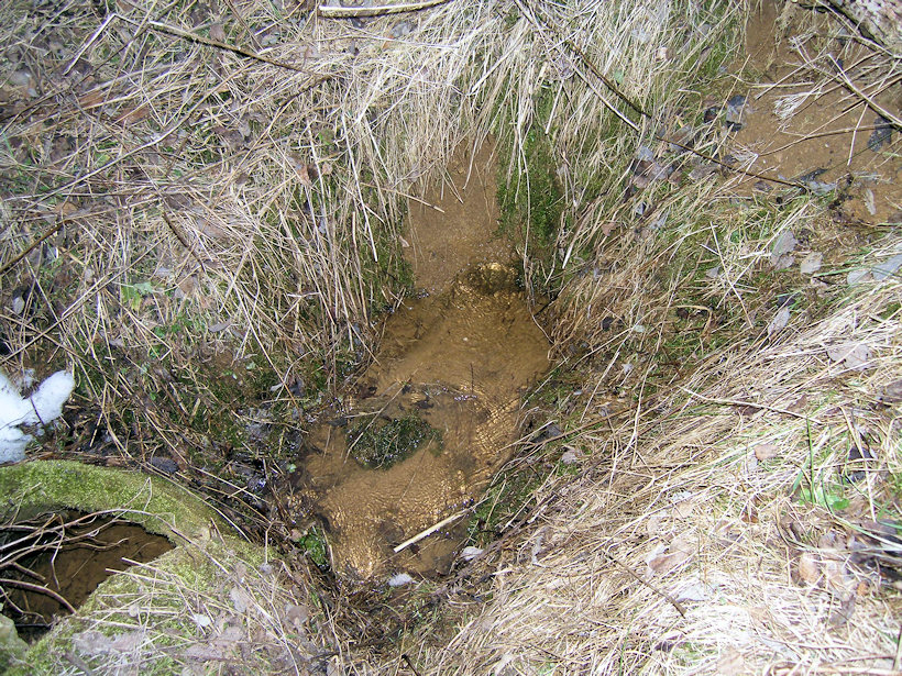 studánka bez jména (2781)