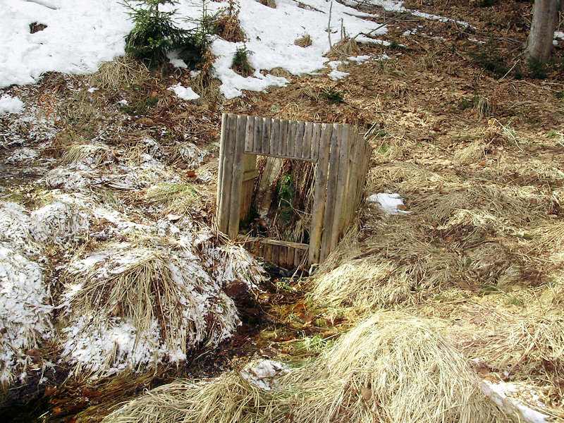 studánka Rosnička (2799)