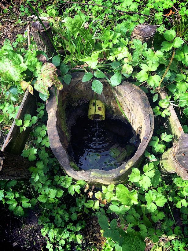 studánka U Váňova kamene (2812)