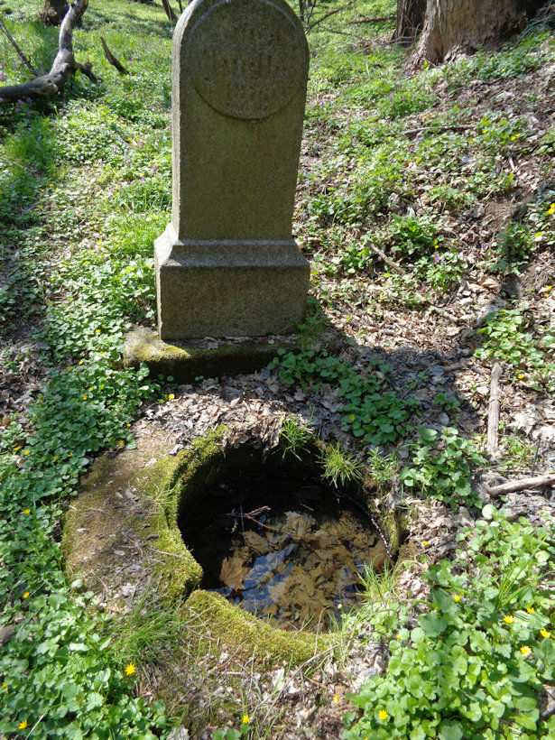 studánka Quelle Anna (2818)