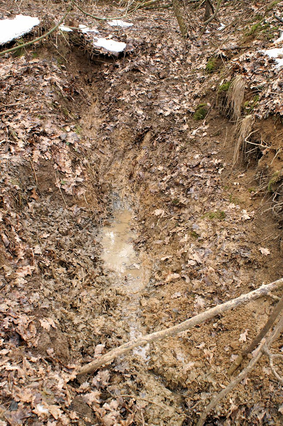 studánka Pod dubem (2828)