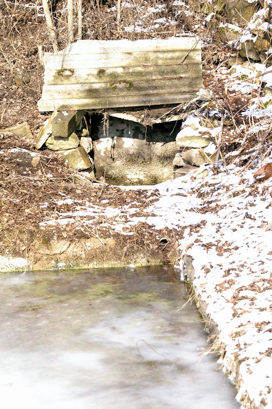 studánka U hřbitova (2831)